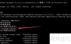 Oracle实例启动指南
