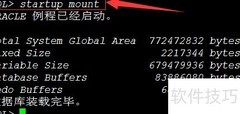 Oracle实例启动指南