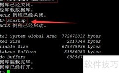 Oracle实例启动指南