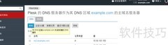 禁用Plesk DNS服务指南