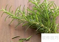 迷迭香精油的神奇功效