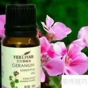 天竺葵精油功效及使用方法