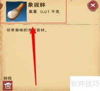 小鲨鱼饲料制作方法