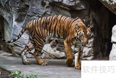 上海必玩景点推荐