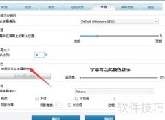 如何开启自定义字幕颜色