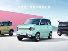 吉利银河熊猫勇士6月1日上市：210km续航A00级纯电小车
