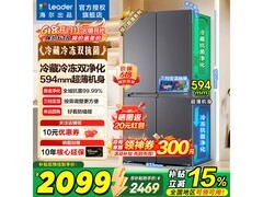 Leader LTD - 510WS9U1冰箱低至1964元