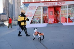 机器狗互动、机器人陪下棋 京东家电家居暖心站台落地大连