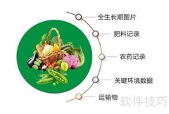 肉类蔬菜追溯流程解析
