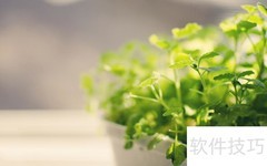 ACT考试四大优势解析