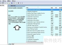 AxInstSV服务详解