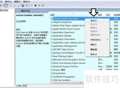 AxInstSV服务详解
