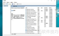 如何开启Client License服务