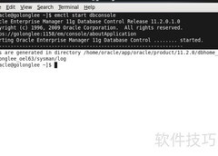 Linux下启动Oracle EM指南