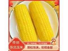 佟创东北黄糯玉米8根仅11.59元！代餐健康好选择