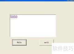 VB中Do循环结构解析