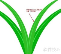 位图与矢量图区域解析