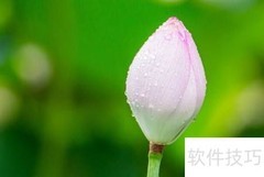 位图与矢量图的区别解析