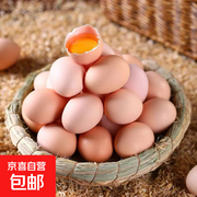 农家散养土鸡蛋促销！满减后1.99元，拍2单发10枚包邮