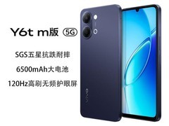 vivo Y6t m版5G手机976元