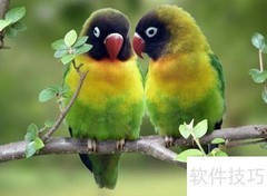 公务员面试冲刺指南