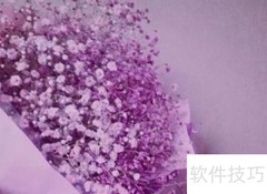 满天星种植技巧