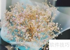 满天星种植技巧