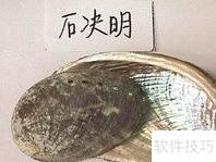 中药治疗脑血栓配方