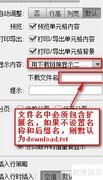 FineReport显示二进制文件方法