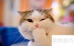 嗨翻天开是什么意思？