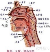 唱好歌的秘诀