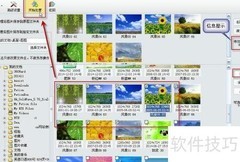 用isee批量加文字