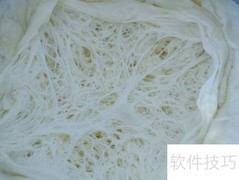 生吐司风靡全球的秘诀