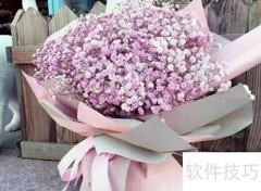 满天星插花技巧指南