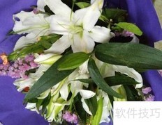 满天星搭配技巧：清新又高级