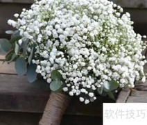 满天星搭配技巧，清新又高级