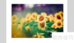 位图转矢量：快速转换技巧