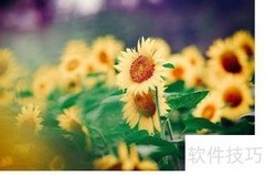 位图转矢量：一键转换