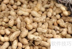 教父母轻松刨花生小妙招