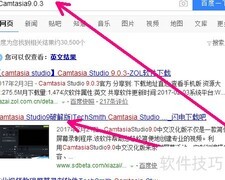 Camtasia 9.0.3安装汉化指南