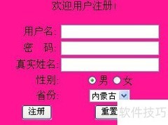 简单网上投票系统制作指南