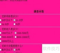 简单网上投票系统制作指南