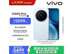 vivo X300 Pro自在蓝5G手机
