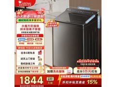 小天鹅小乌梅波轮洗衣机10kg
