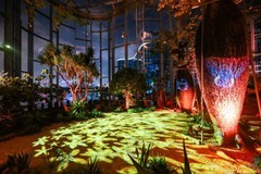 大型文旅夜游光影秀设备完美嵌入，巴可打造沉浸式植物奇境