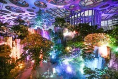 大型文旅夜游光影秀设备完美嵌入，巴可打造沉浸式植物奇境