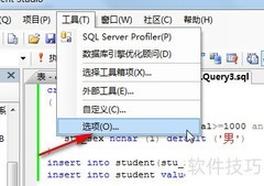 SQL查询分析器显示行号设置