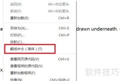 Chrome英文网页无翻译按钮？