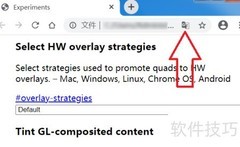 Chrome英文网页无翻译按钮？