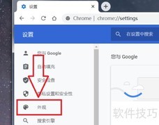 Chrome主页按钮设置指南